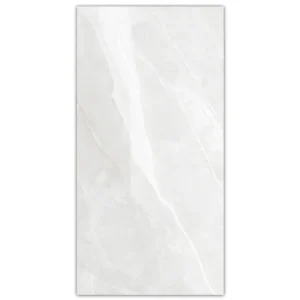Nexus Glossy Glazed Porcelain 600X1200mm