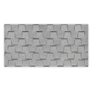 Zodiac Silver Decor Wall Tile 300X600mm