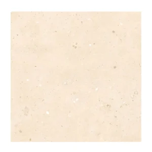 Dolomiti Terraz Crema Matt 600X600mm