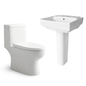 Modern Toilet Combo