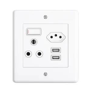 Lesco Single Plug 2 Pin with USB White Steel