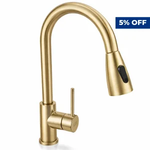 Alco Pull-Out Sink Mixer Stainless Steel Gold
