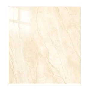 Dyna Glossy  Polished Porcelain 600X600mm